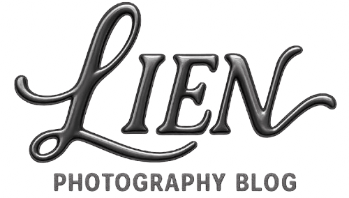 LIEN Logo